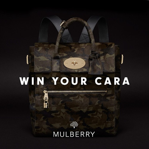 Mulberry1